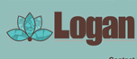 A custom build website solution, photo shoot, before and after, appointment scheduler, online patient forms are a few modern directions Digi Craft helped Logan Eye Care with. Ongoing website maintenance, SEO, print, and magazine layouts are a continued form of support offered by Digi Craft.